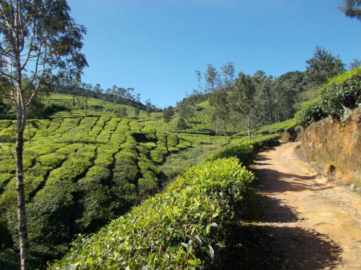 Greenview Holiday Inn Munnar Kültér fotó